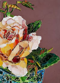 Image 1 of Texas Rose
