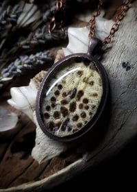 Image 5 of Gecko Skin Amulet