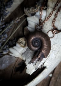 Image 4 of Crystal & Snail Shell Pendant