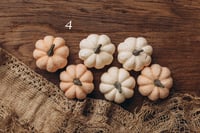 Image 4 of Set of Pumpkins 