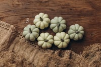 Image 3 of Set of Pumpkins 