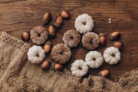 Image 1 of Set of Pumpkins 