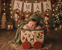 Image 14 of X-MAS Baby Wagon 