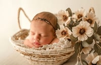 Image 1 of Meadow layer/pillow/bonnets
