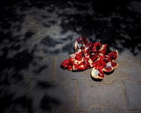 Image of Amato et tirage de tête Grenades - Marie-Pierre Cravedi