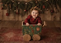 Image 11 of X-MAS Baby Wagon Brown