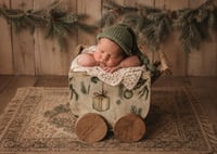 Image 6 of X-MAS Baby Wagon Brown
