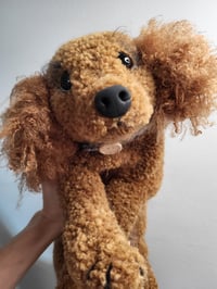 Image 1 of Cleo the Curly Companion