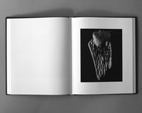 Image 4 of Jar of Teeth Photography Book by Tom Sussex