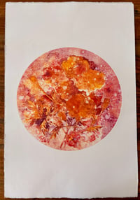 Marigolds 