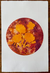 Marigolds 2