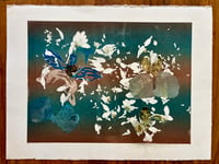 Scattershot 