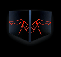 Image 5 of SIN Bundle 