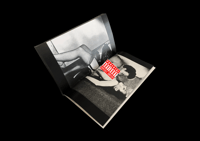 Image 3 of SIN Bundle 