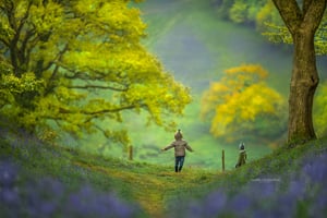 Image of Devon, England 2-Day Workshop: May 5th-6th, 2027