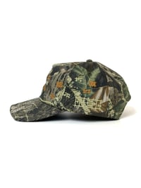 Image 3 of LKBTC cap