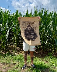 Image 2 of Field of Dreams Feed Sack