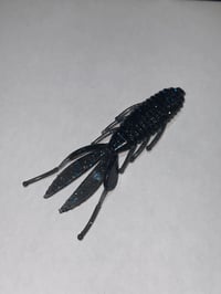 BrushCraw