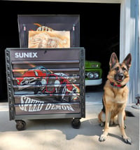 Image 1 of SQUINDO SUNEX – SPEED DEMON– 34" 6 DRAWER PREMIUM SERVICE CART - GREEN 