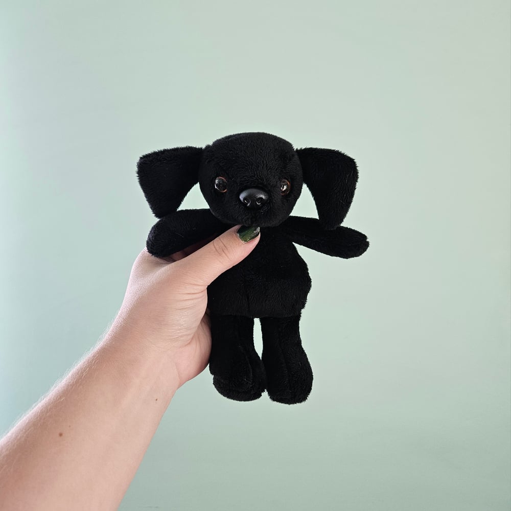 Image of Shadow Mini Black Lab