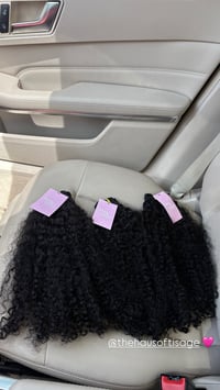Image 2 of Burmese Curly
