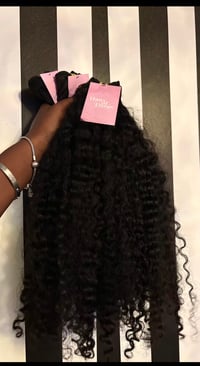 Image 3 of Burmese Curly