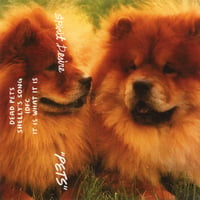Spirit Desire—"Pets" CS