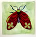 Image of Poker Moth