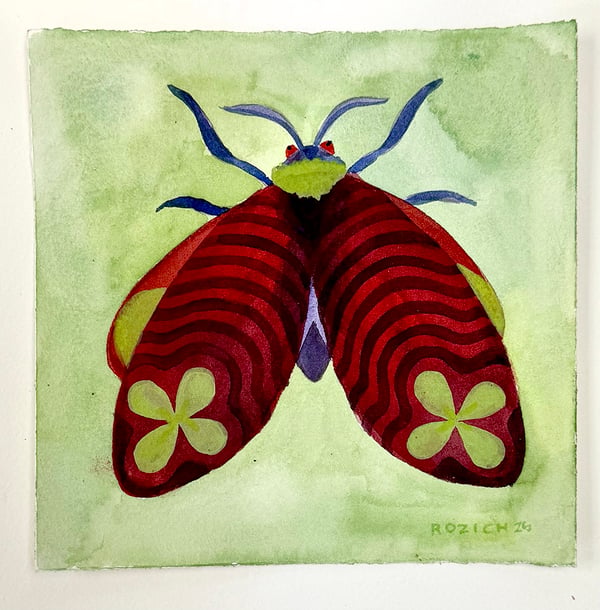 Image of Poker Moth