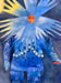 Image of StarHead