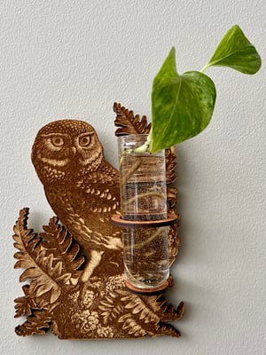 Image of Engraved Propagation Hanger - Owl