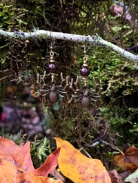Image 1 of Garnet Arachnid Earring 