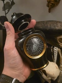 Image 3 of Large Black And Gold URN with Real Preserved Web