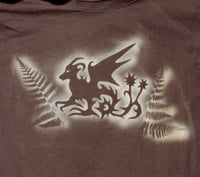 Image 1 of fern dragon shirts 