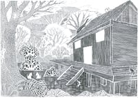 Image 1 of House and Garden