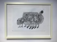 Image 2 of Donkey