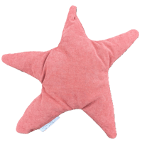 star no. 1