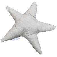 Image 2 of star no. 6