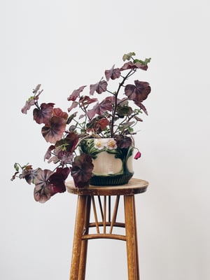 Majolica urtepotte _grøn, rosa, beige 