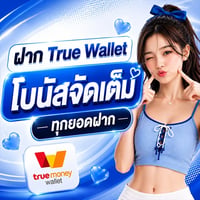 Z16 TRUE WALLET