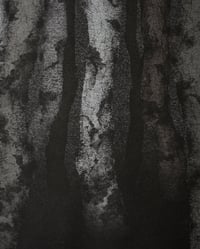 Image 2 of Near Light