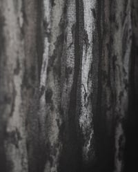 Image 4 of Near Light