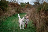 Image 5 of FALL Mini Session~ $250