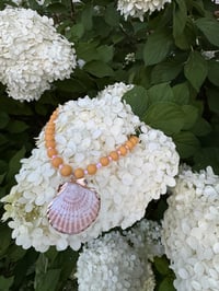Image 1 of Pink Lemonade Shell Necklace 