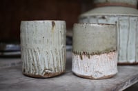 A pair of Fresh little Sippers 