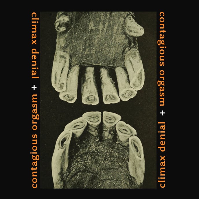 Contagious Orgasm + Climax Denial - "Breeding Dust" CD Image 2