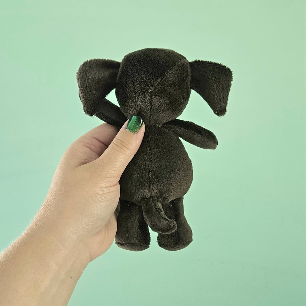 Image of Charlie Chocolate Mini Lab Puppy