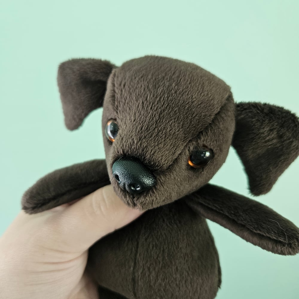 Image of Charlie Chocolate Mini Lab Puppy