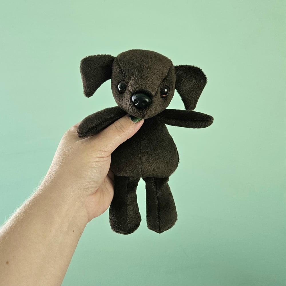 Image of Charlie Chocolate Mini Lab Puppy