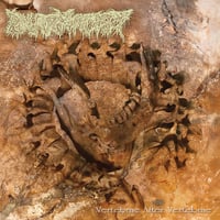 Image 1 of Pharmacist "Vertebrae After Vertebrae" LP